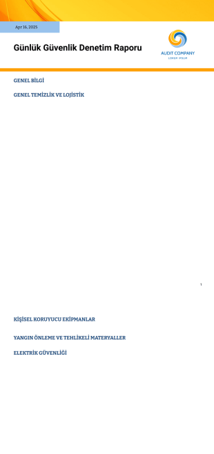 Günlük Güvenlik Denetim Raporu - PDF Templates