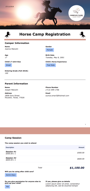 Horse Camp Registration Template - PDF Templates