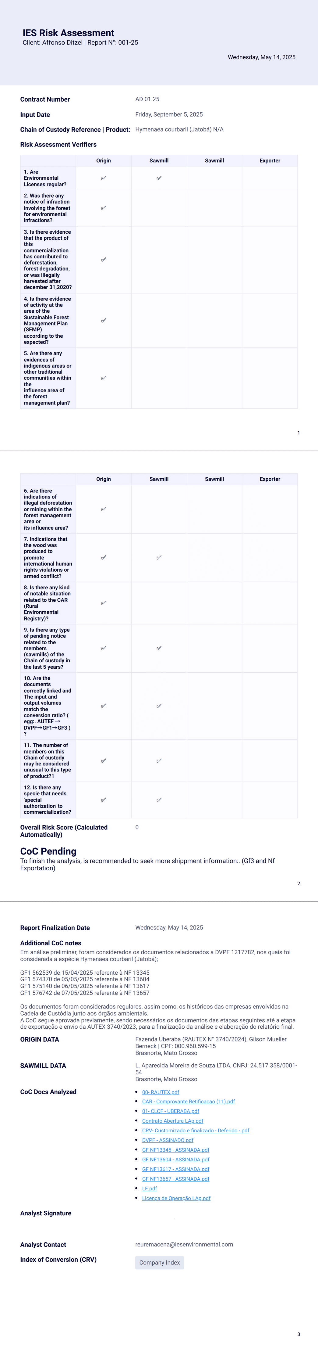 IES Risk Assessment Affonso Ditzel PDF Template | Jotform