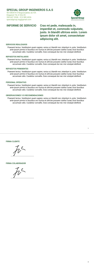 Informe De Servicio - PDF Templates