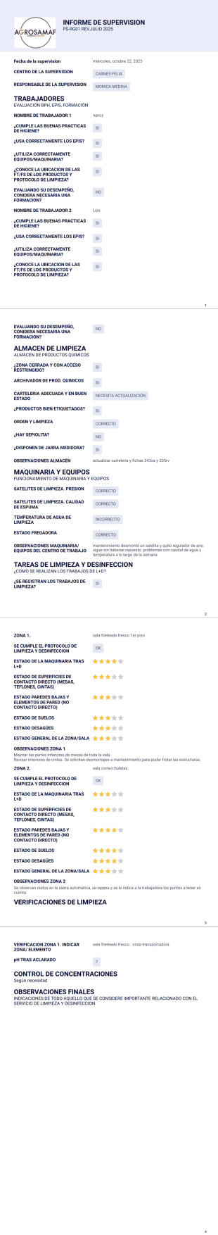 Informe De Supervision - PDF Templates