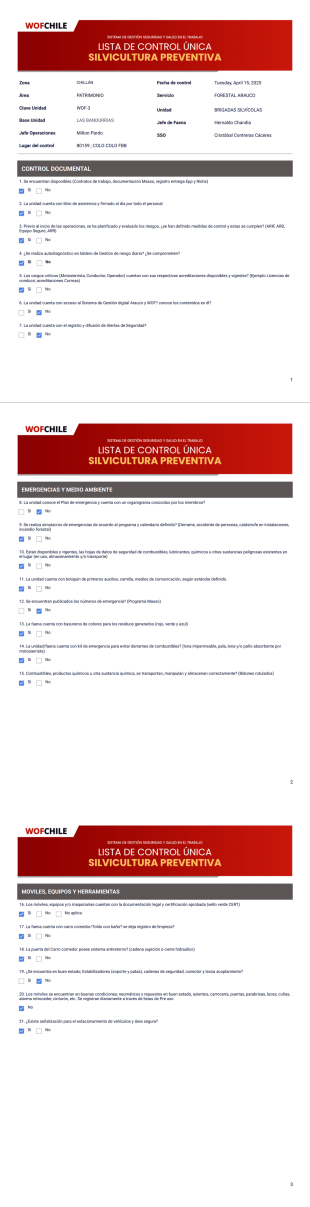 Informe SSO WOF - PDF Templates