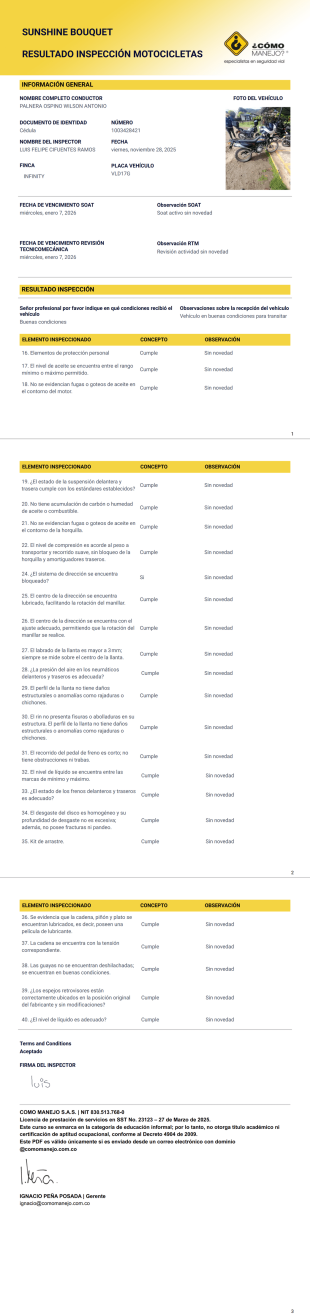 Inspecciones - PDF Templates