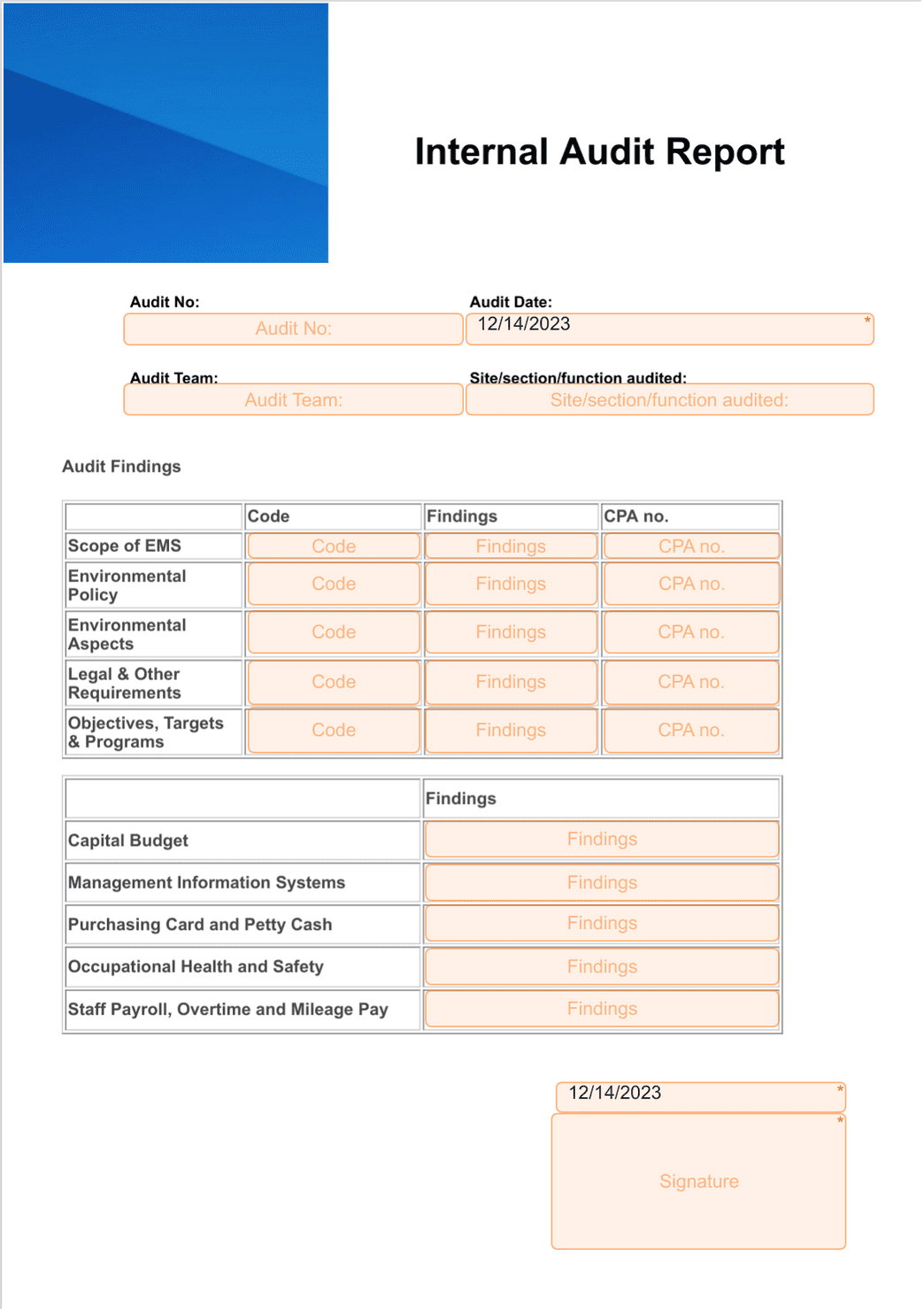 Internal Audit Form