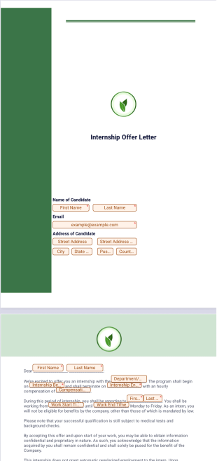 Internship Offer Letter PDF Template