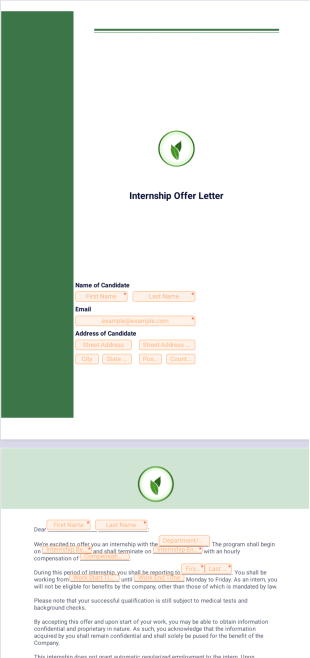 Internship Offer Letter PDF Template