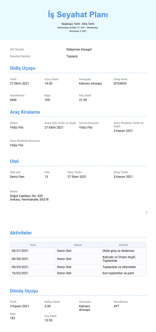 İş Seyahat Planı Şablonu - PDF Şablonları