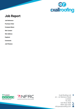 Job Report 2020 PDF Template