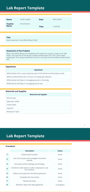 Lab Report Template - PDF Templates