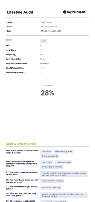 Lifestyle Audit PDF Template