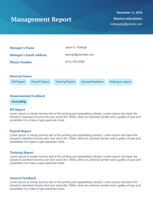 Management Report PDF Template