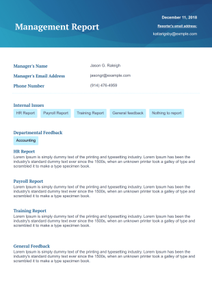 Management Report PDF Template