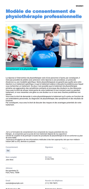 Modèle de consentement de physiothérapie professionnelle - PDF Templates