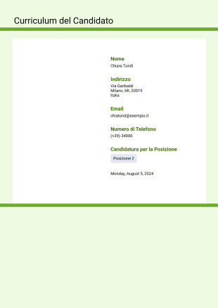 Modello di Curriculum del Candidato - Modelli di PDF