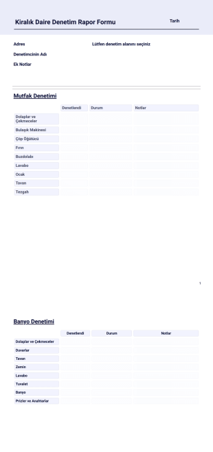 Mülk Denetim Raporu Örneği PDF Şablonu