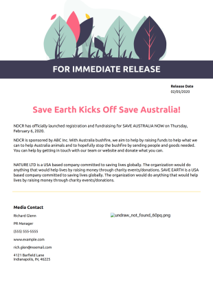 Nonprofit Press Release PDF Template
