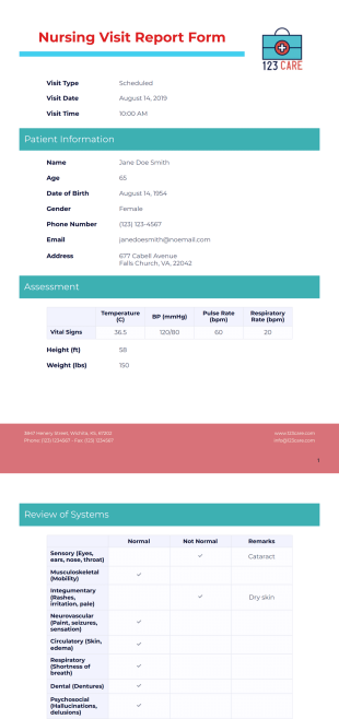 Nursing Visit Report Form Template - PDF Templates