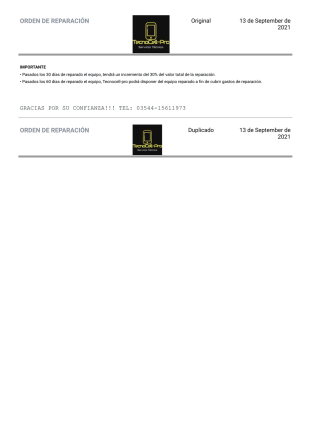 Orden De Reparacion Plantilla PDF