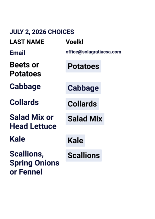Partial Csa Choices PDF Template