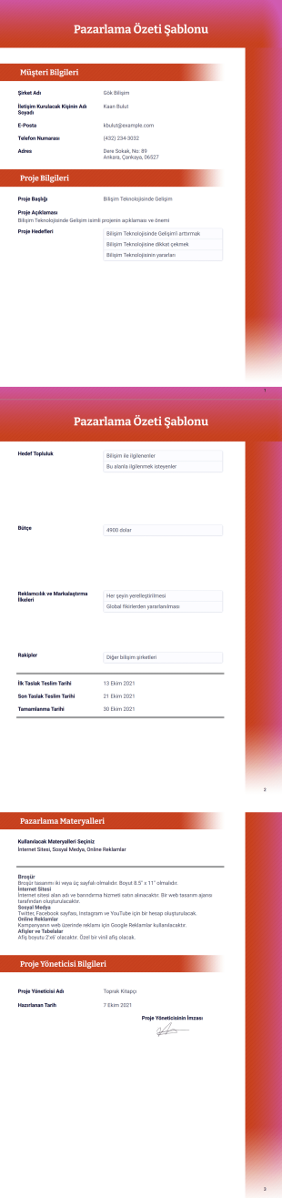 Pazarlama Özeti Şablonu - PDF Templates