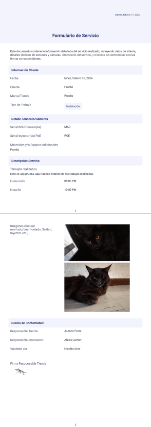 PDF Formulario de Servicio Plantilla PDF