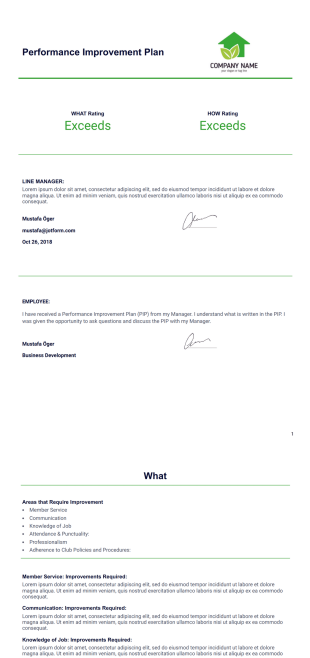 Performance Improvement Plan (PIP) Template - PDF Templates
