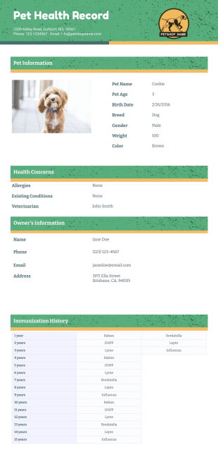 Pet Health Record Template - PDF Templates
