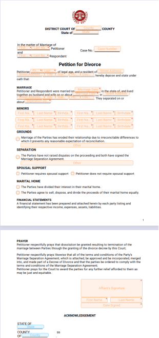 Petition for Divorce PDF Template