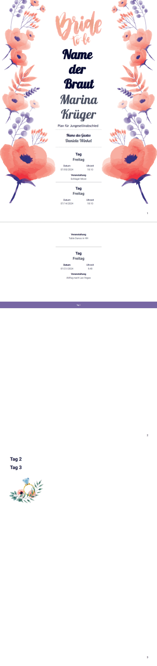Plan für Jungesellinabschied Vorlage - PDF Templates