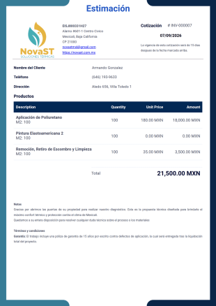platillanovast Plantilla PDF