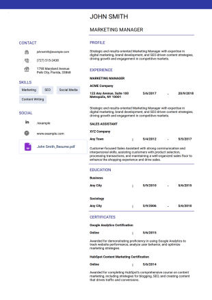 Professional Resume Template - PDF Templates