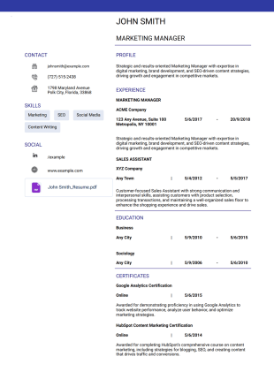 Professional Resume Template - PDF Templates