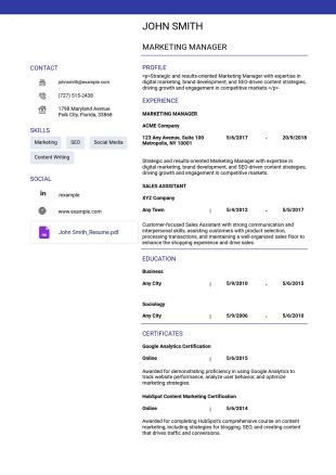Professional Resume Template - PDF Templates