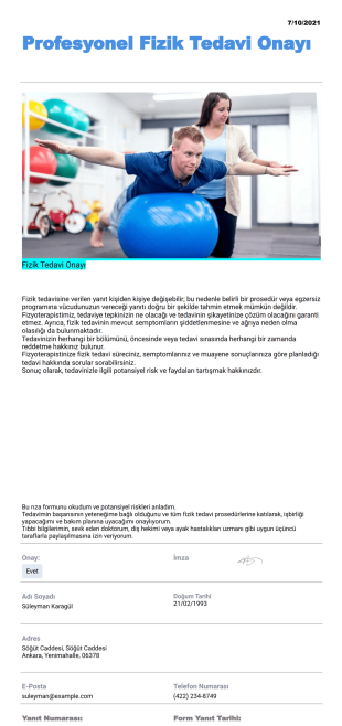 Profesyonel Fizik Tedavi Onay Şablonu - PDF Templates