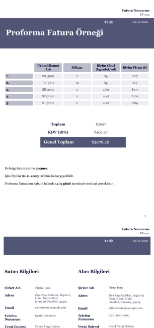Proforma Fatura Örneği PDF Şablonu