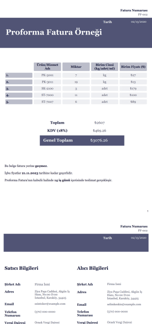 Proforma Fatura Örneği PDF Şablonu