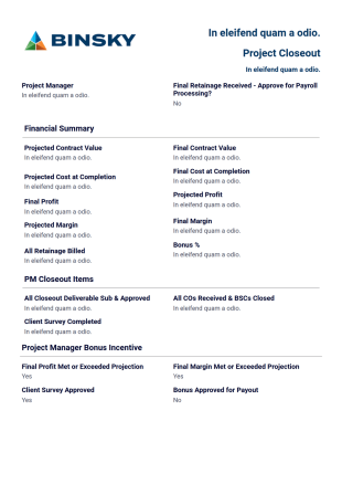 Project Closeout PDF Template