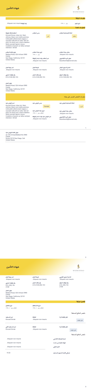 قالب شهادة تأمين - قوالب PDF