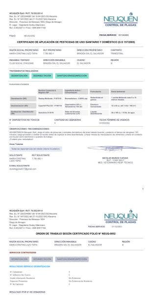 Rattus Plantilla PDF