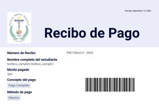 Recibo PMT-NII Plantilla PDF