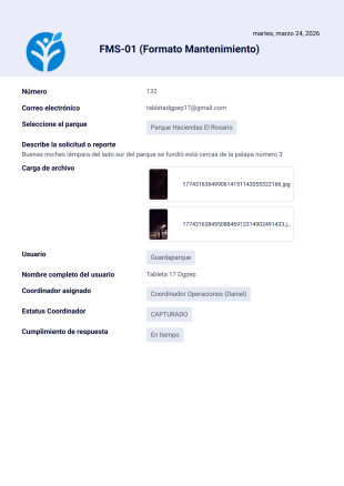 Reporte atendido Plantilla PDF