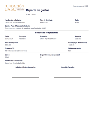 Reporte De Gastos Fuabc Plantilla PDF