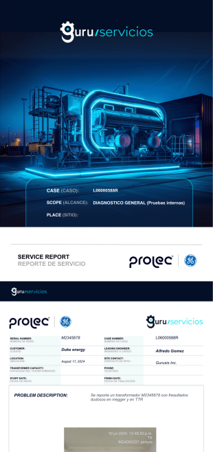 Reporte Fin (Guru Services) - PDF Templates