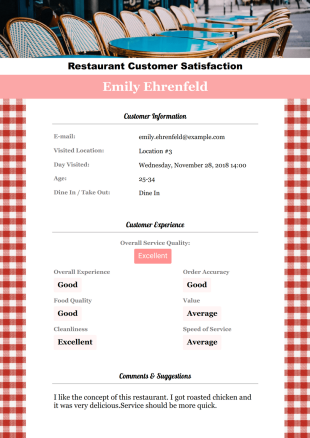 Restaurant Customer Satisfaction Survey Template - PDF Templates