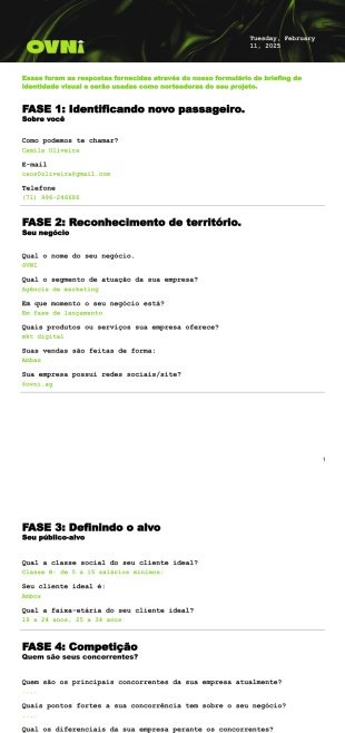 Resumo de briefing IDV Modelo de PDF
