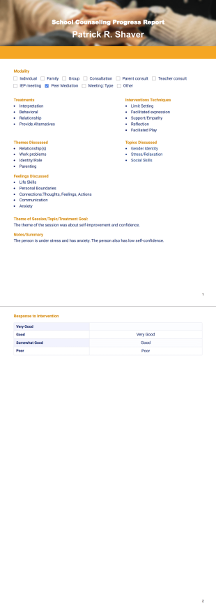 School Counseling Progress Report - PDF Templates
