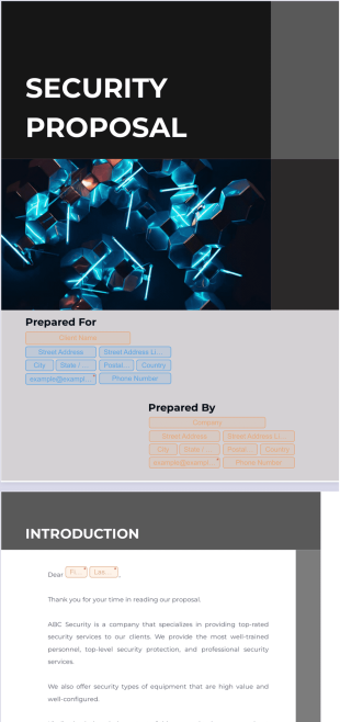 Security Proposal PDF Template