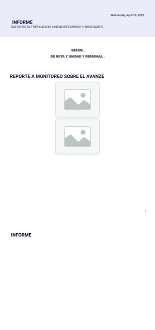 seguridad Plantilla PDF