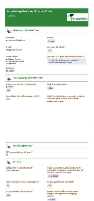 Simple Scholarship Application Template - PDF Templates