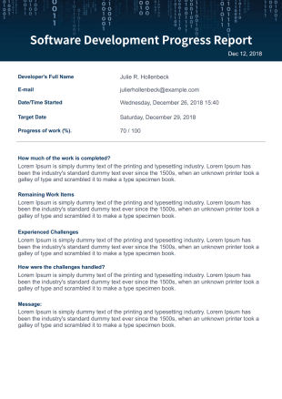 Software Development Progress Report PDF Template